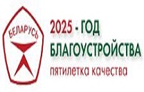 2025 Год благоустройства