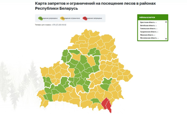 На радость любителям «тихой охоты»: в Мозырском районе снят запрет на посещение лесов