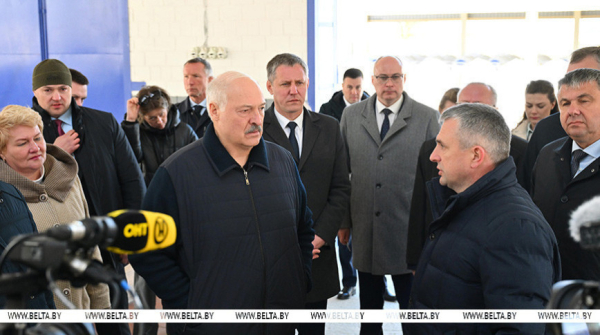 Сельская гаспадарка і "кандытарка". Лукашэнка наведаў Нараўлянскі раён