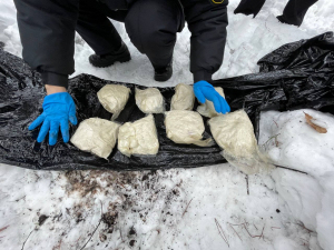 До 15 лет тюрьмы: гражданку России с 4 кг психотропа задержали пограничники